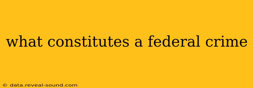 what constitutes a federal crime