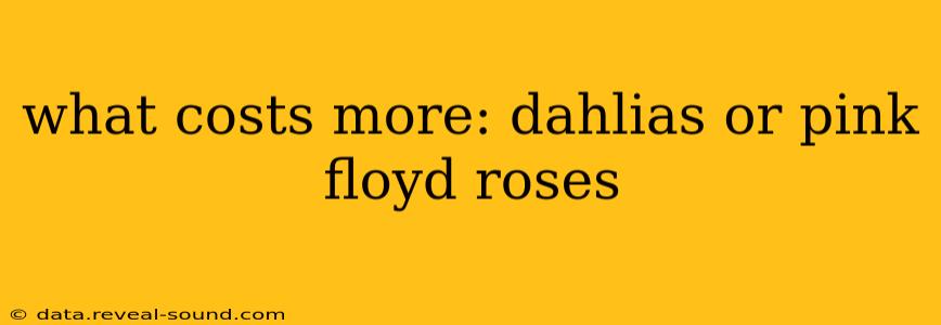 what costs more: dahlias or pink floyd roses