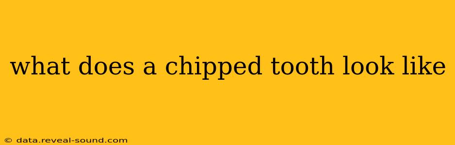 what does a chipped tooth look like