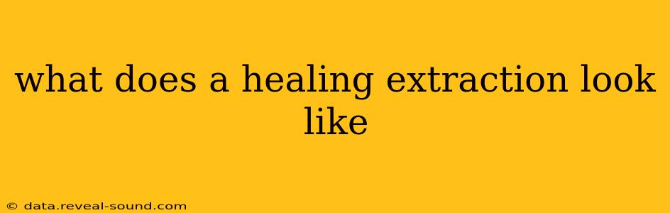 what does a healing extraction look like
