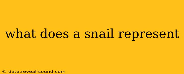 what does a snail represent