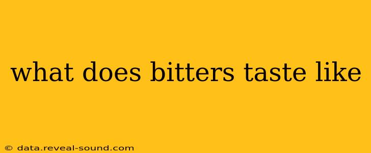 what does bitters taste like