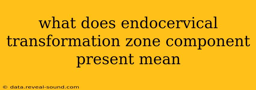 what does endocervical transformation zone component present mean