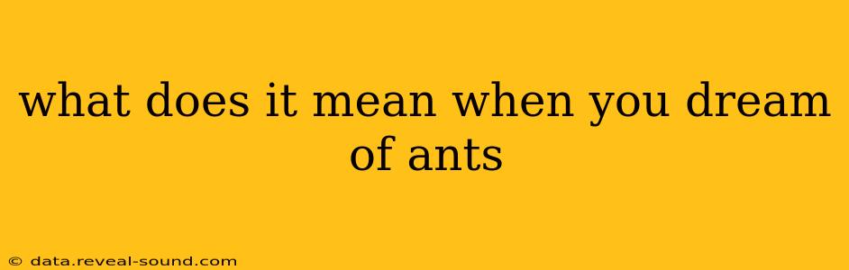 what does it mean when you dream of ants