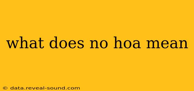 what does no hoa mean