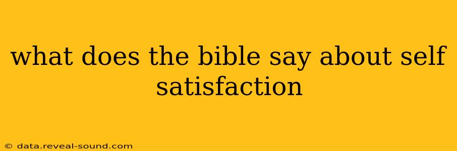 what does the bible say about self satisfaction