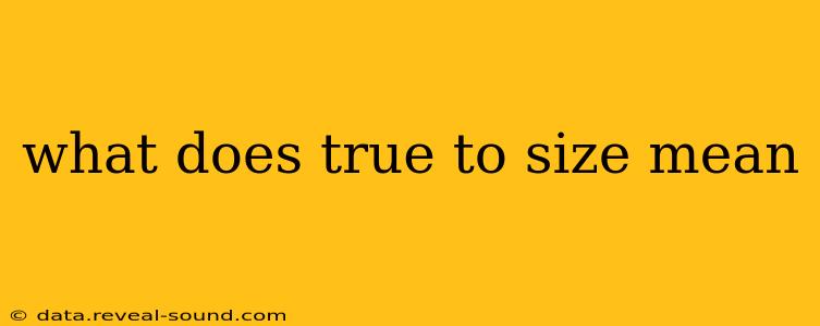 what does true to size mean