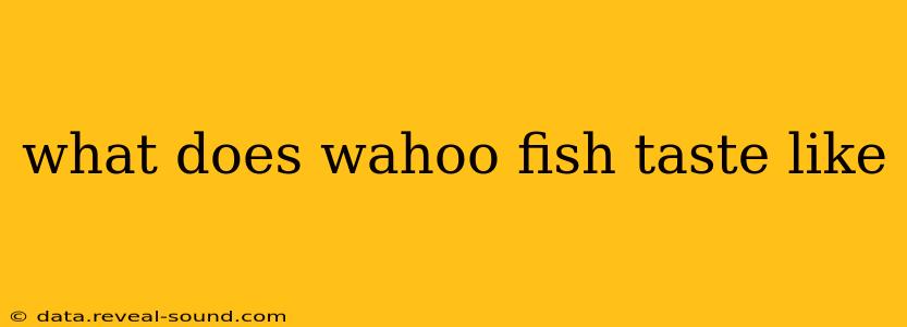 what does wahoo fish taste like