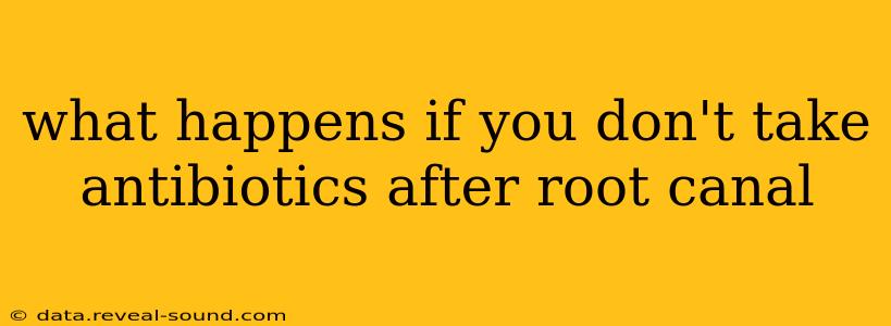 what happens if you don't take antibiotics after root canal