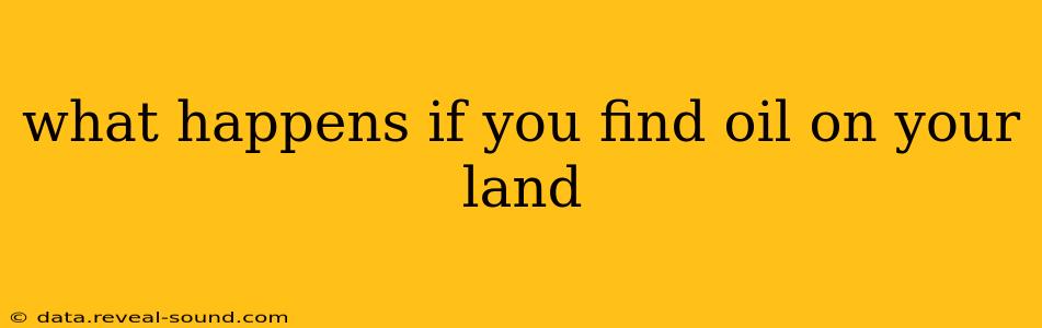 what happens if you find oil on your land