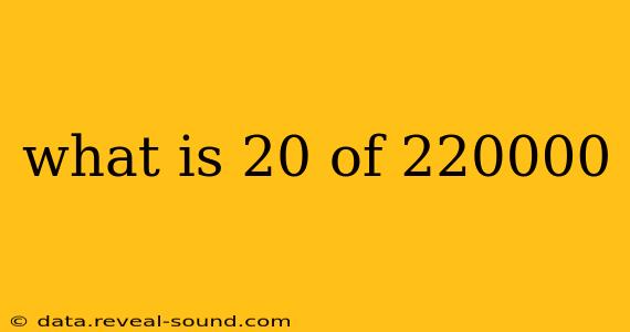 what is 20 of 220000