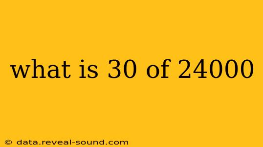 what is 30 of 24000