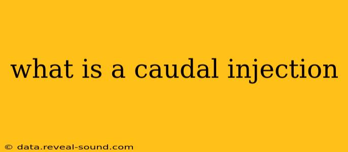 what is a caudal injection