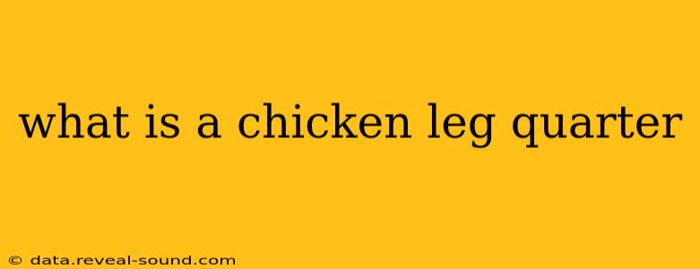 what is a chicken leg quarter