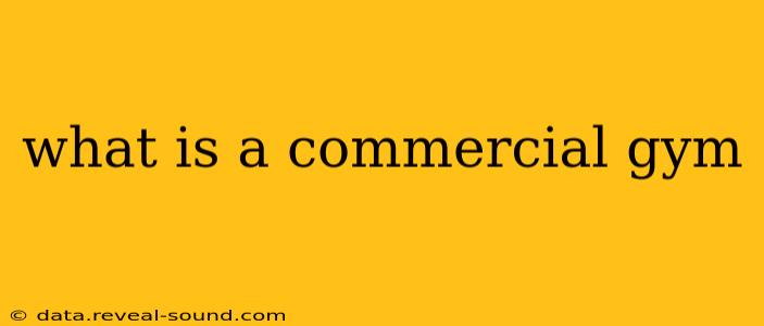 what is a commercial gym