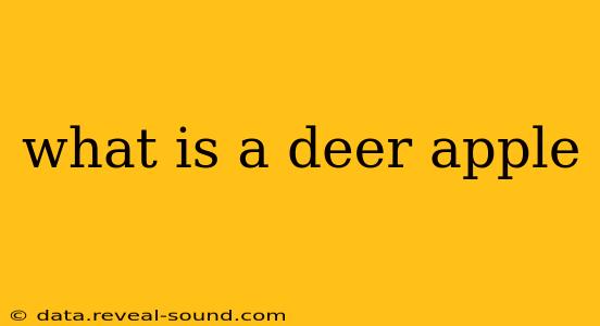 what is a deer apple