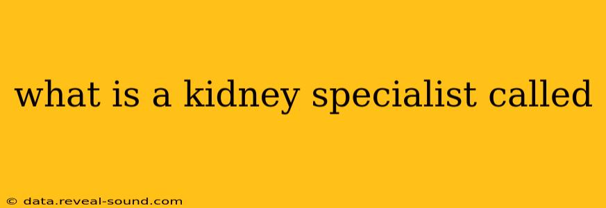 what is a kidney specialist called