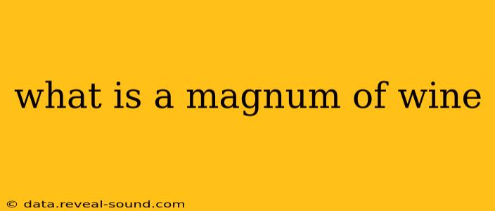 what is a magnum of wine