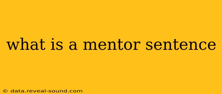 what is a mentor sentence