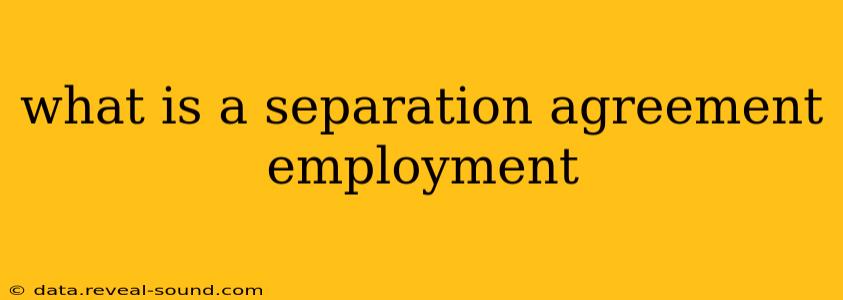 what is a separation agreement employment