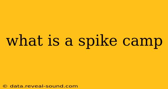 what is a spike camp