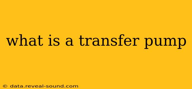 what is a transfer pump