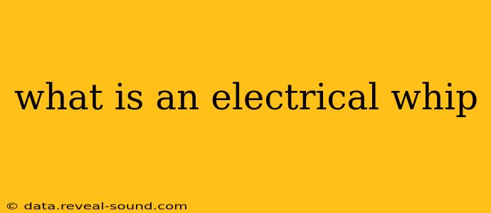 what is an electrical whip