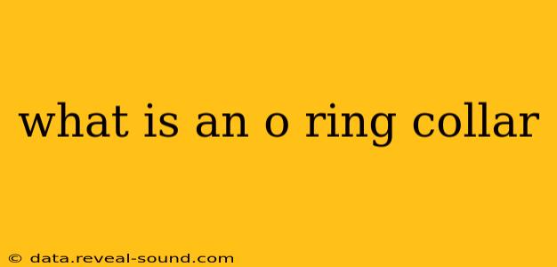 what is an o ring collar