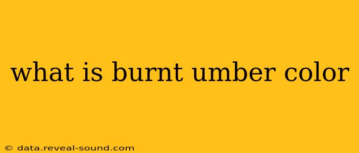 what is burnt umber color