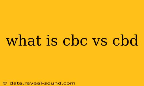 what is cbc vs cbd