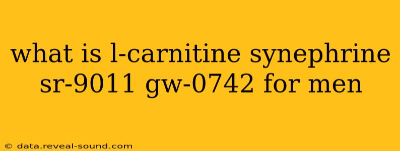 what is l-carnitine synephrine sr-9011 gw-0742 for men