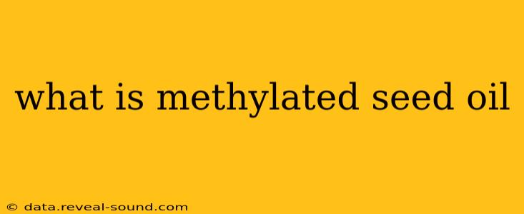 what is methylated seed oil