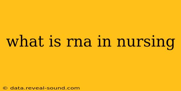 what is rna in nursing