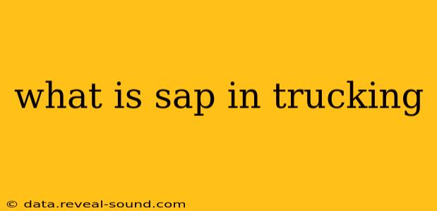 what is sap in trucking