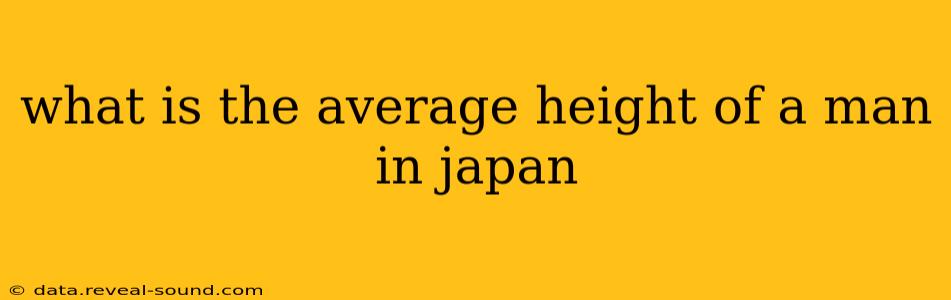 what is the average height of a man in japan