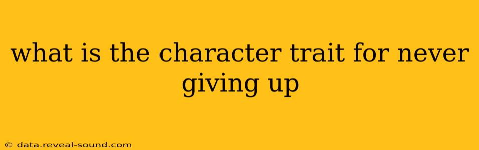 what is the character trait for never giving up