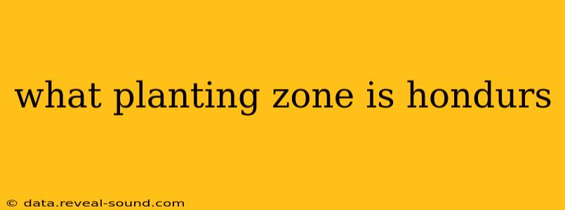what planting zone is hondurs