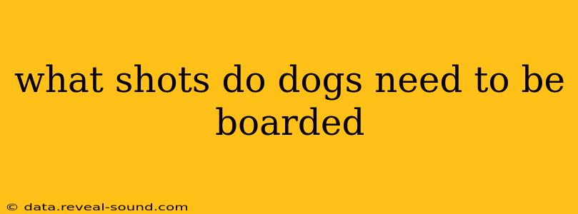 what shots do dogs need to be boarded