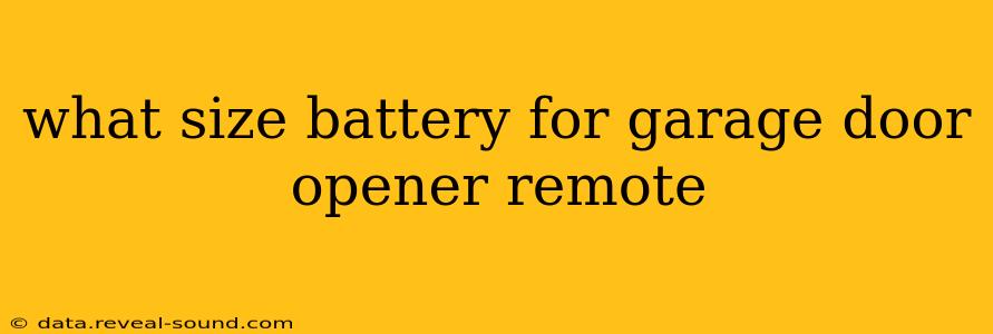 what size battery for garage door opener remote