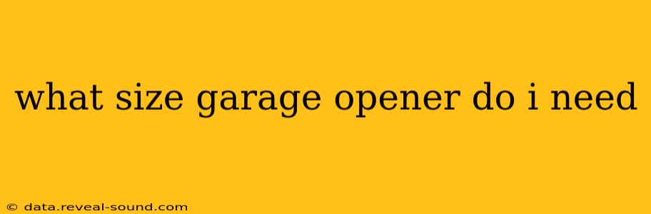 what size garage opener do i need