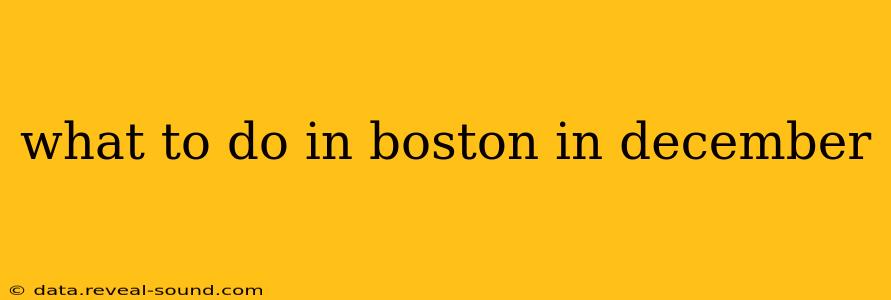 what to do in boston in december