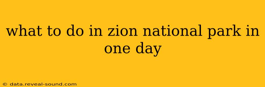 what to do in zion national park in one day