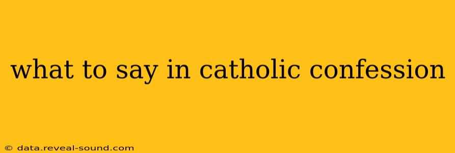 what to say in catholic confession