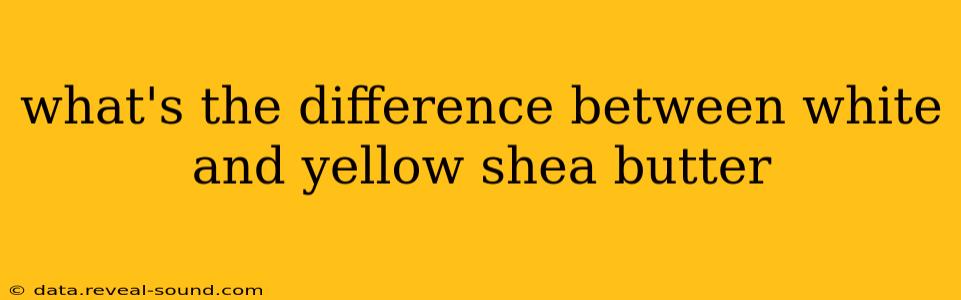 what's the difference between white and yellow shea butter
