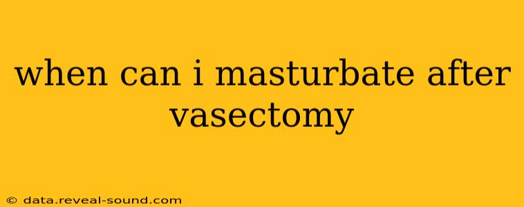 when can i masturbate after vasectomy