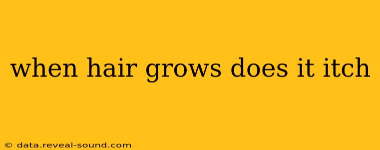 when hair grows does it itch