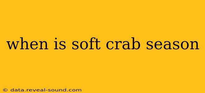 when is soft crab season