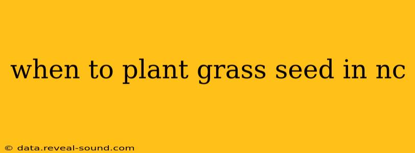 when to plant grass seed in nc