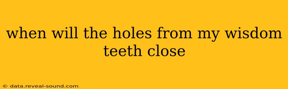 when will the holes from my wisdom teeth close