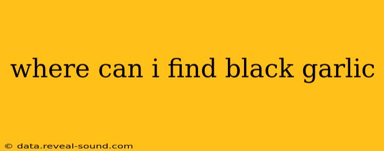 where can i find black garlic